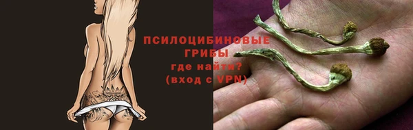 ALPHA PVP Костерёво