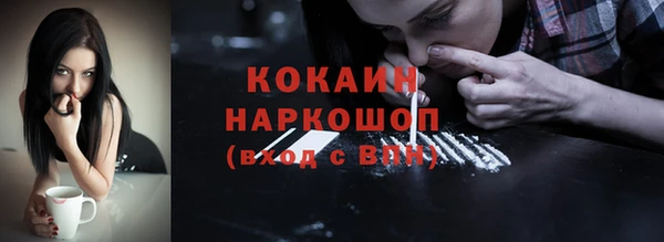 СК Корсаков