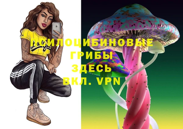 прущая мука Козловка