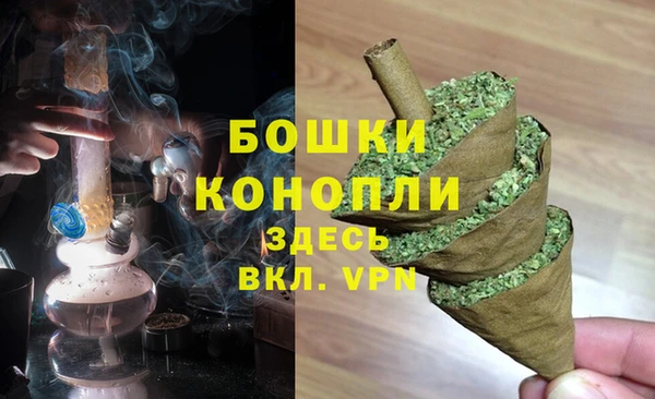 молекула духа Коряжма
