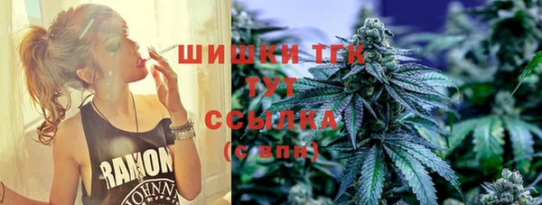 молекула духа Коряжма