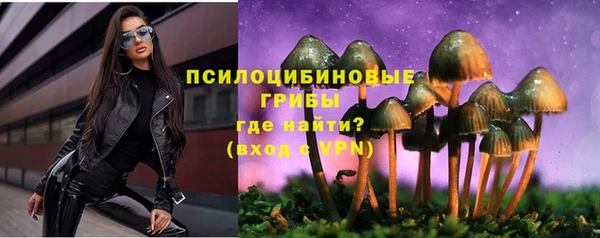 дмт Кодинск