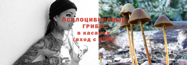 молекула духа Коряжма