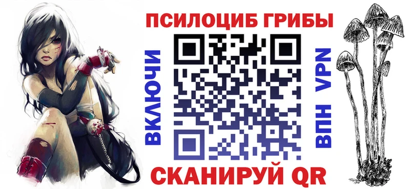 Купить закладки  Крымск  Псилоцибиновые грибы Psilocybine cubensis 